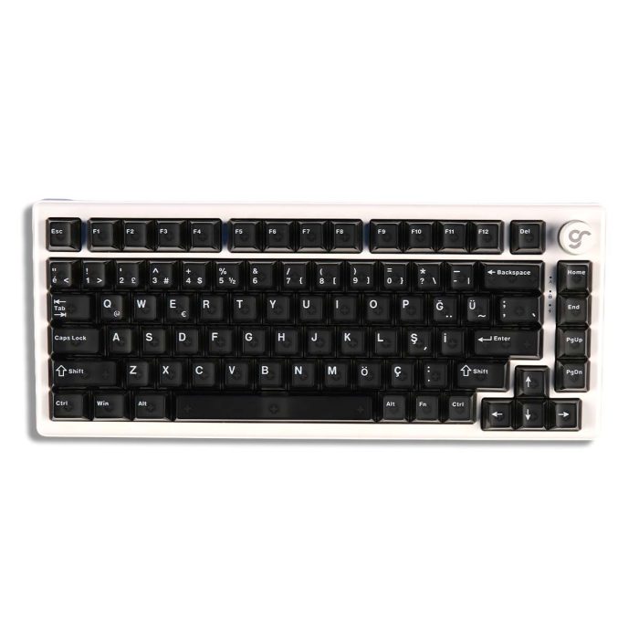 GameRaider Cherry Single Shot PC (Full Set) Şeffaf Keycap Set - Görsel 3